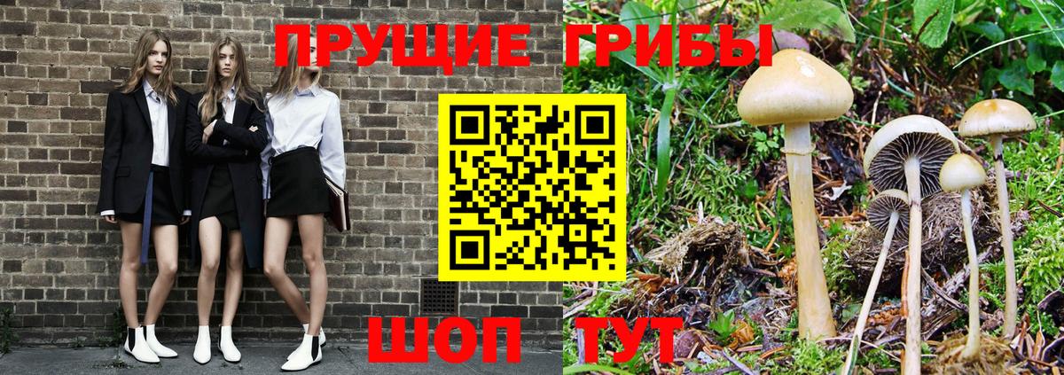 Тихорецк  Псилоцибиновые грибы GOLDEN TEACHER  Галлюциногенные грибы Cubensis  Вход с VPN 